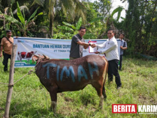 PT Timah Distribusikan Hewan Kurban ke Pulau dan Desa Terpencil