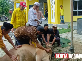 Partai Golkar di Karimun  Salurkan Hewan Kurban ke Masyarakat
