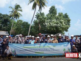 PT Timah Kolaborasi dengan Karang Taruna Desa Rajik Tanam Ribuan Mangrove
