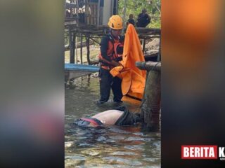 Jenazah Nusyirwan yang Jatuh dari Jembatan 5 Barelang Ditemukan