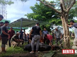 Idul Adha 1447 H, Warga RT 004 Tebing Sembelih 5 Ekor Hewan Kurban
