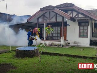 Cegah Demam Berdarah Dengue, PT Timah Gencarkan Fogging